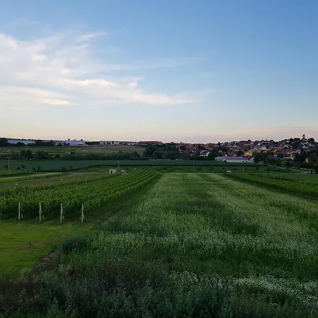 Vakantiehuis Vinny Sklep Kravi Hora Bořetice